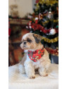 bandana de noel pour chien